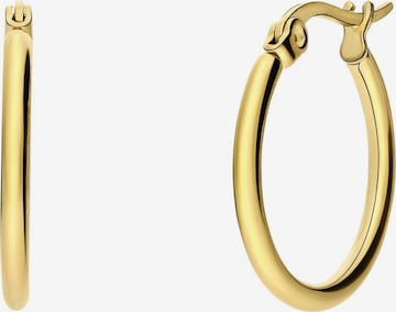 Boucles d'oreilles 'Glitzerndes Basic' Lucardi en or : devant