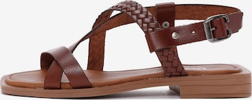 Derimod Sandal in Brown: front