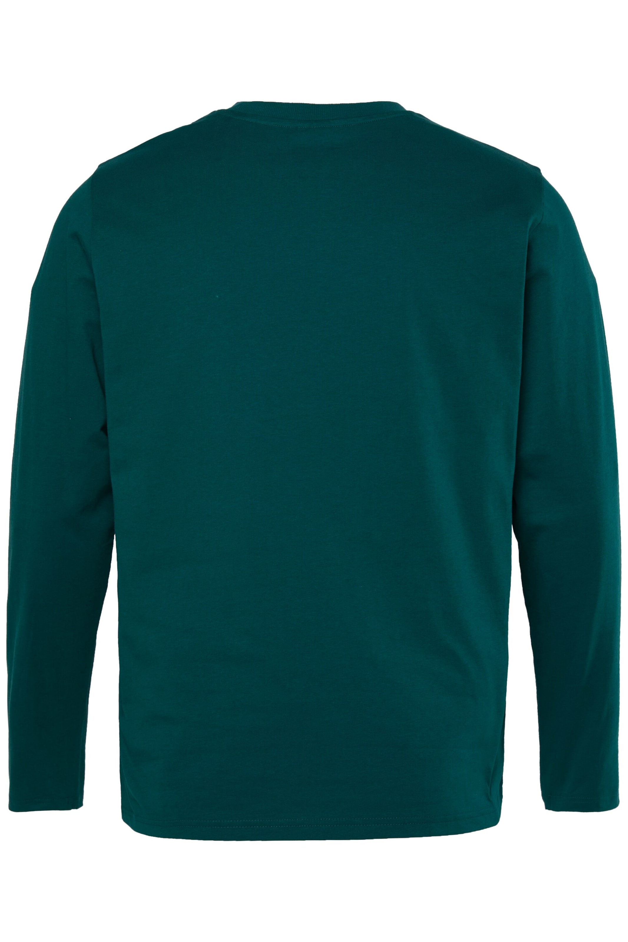 Men Plus Shirt in Groen