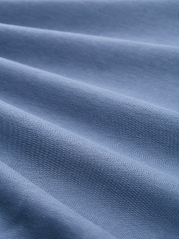 TOM TAILOR DENIM Sweatshirt in Blue