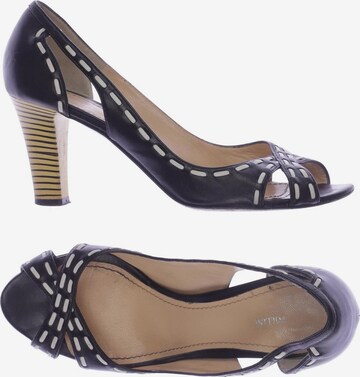 POLLINI Sandals & High-Heeled Sandals in 39 in Black: front