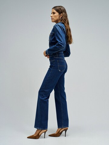 Salsa Jeans Tapered Jeans in Blauw