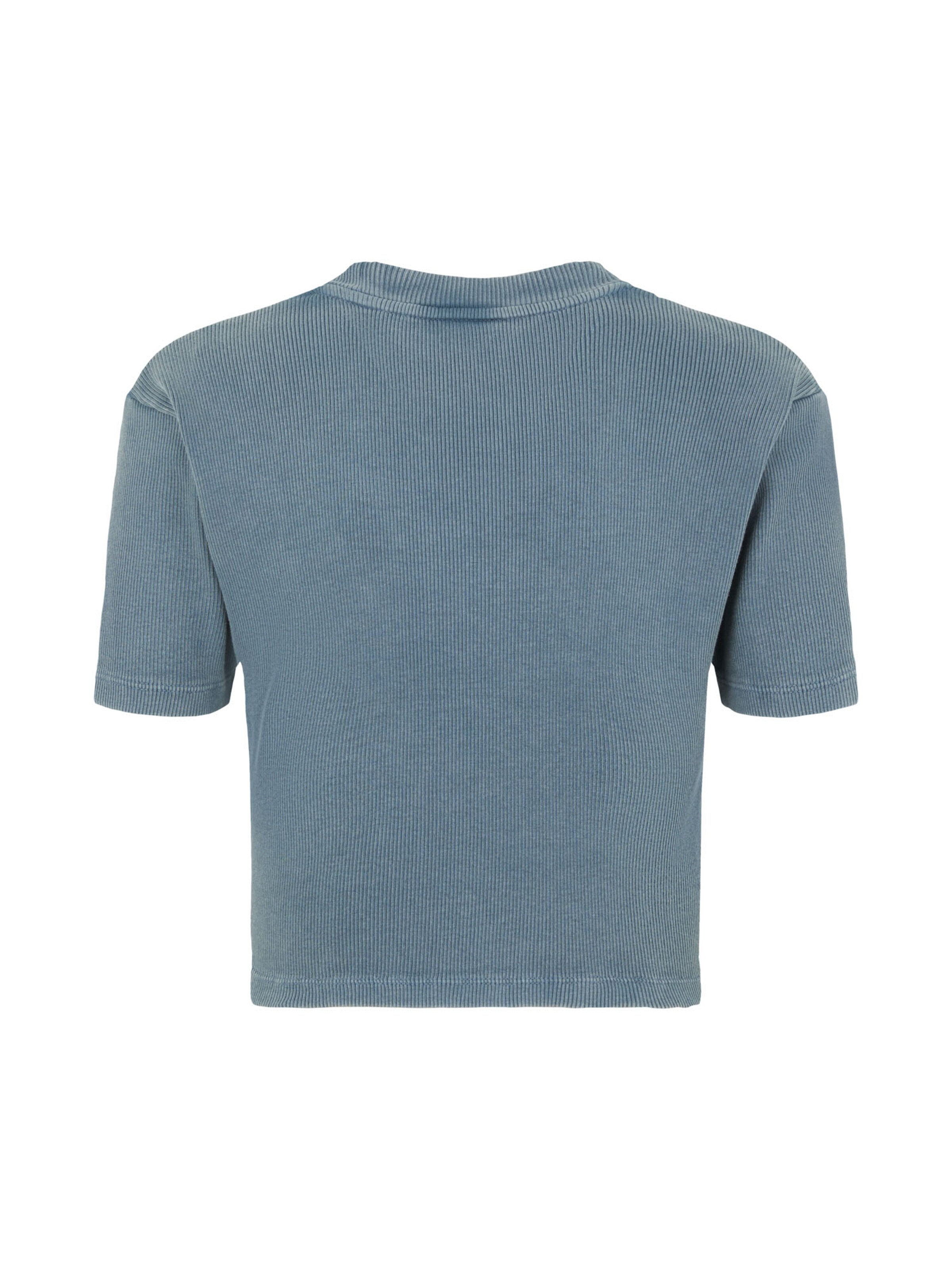 DICKIES Тениска 'PLENTYWOOD' в синьо