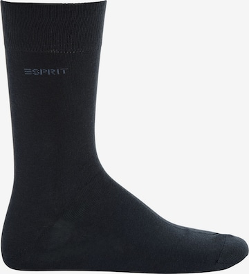 ESPRIT Socken in Blau