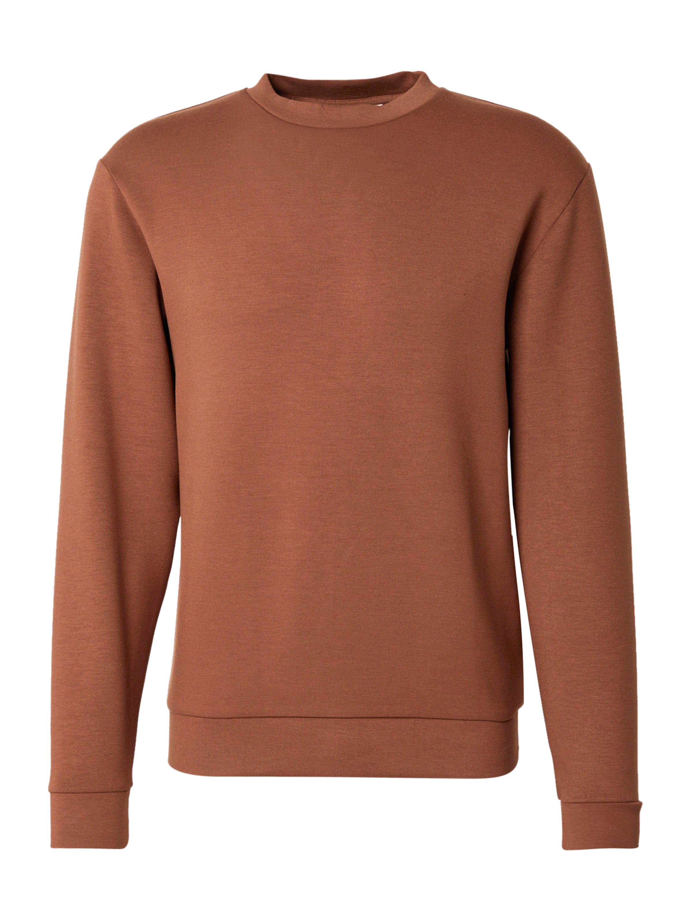 SELECTED Свитшот в Коричневый: спереди