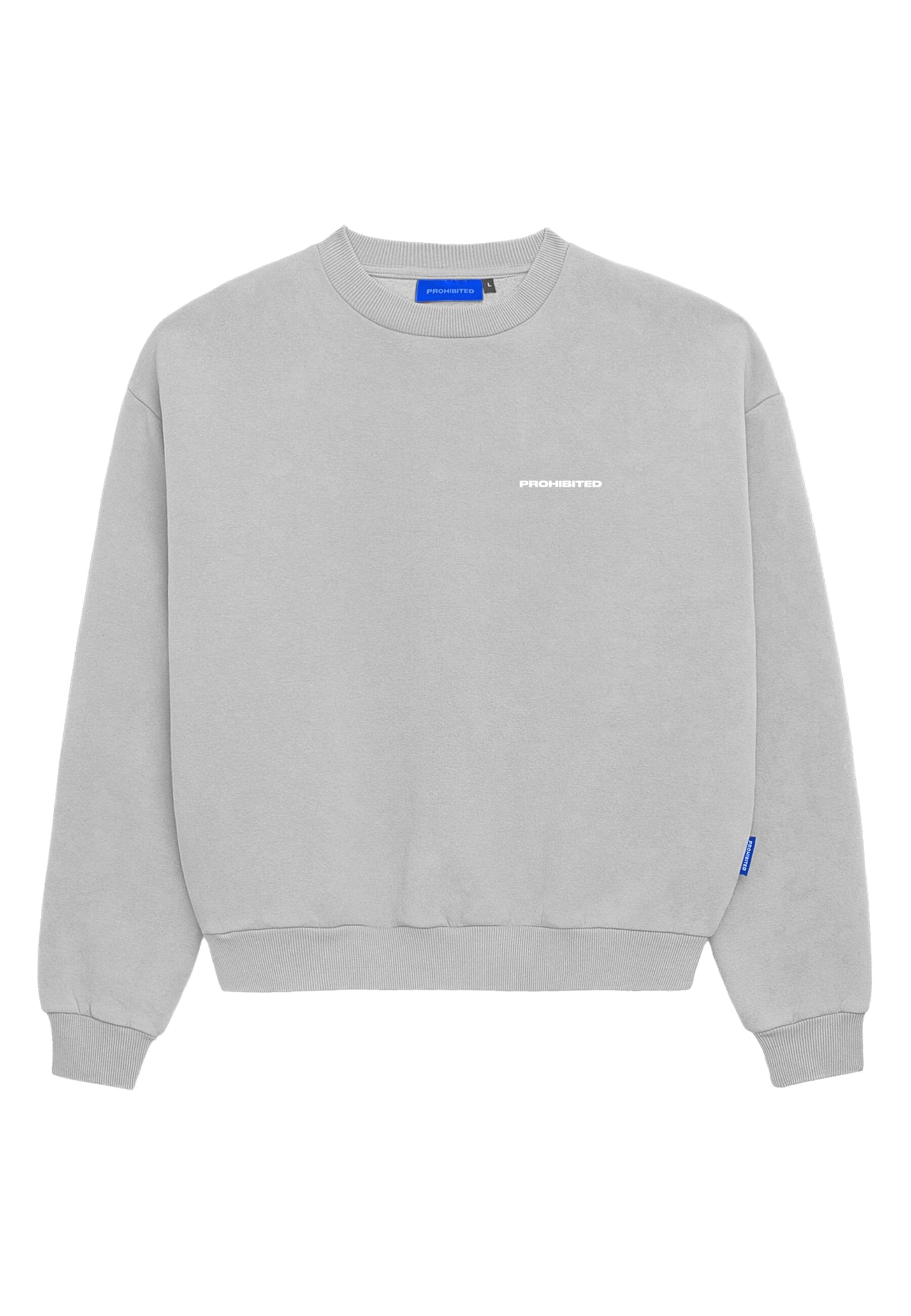Felpa 'Hometown' di Prohibited in grigio: frontale