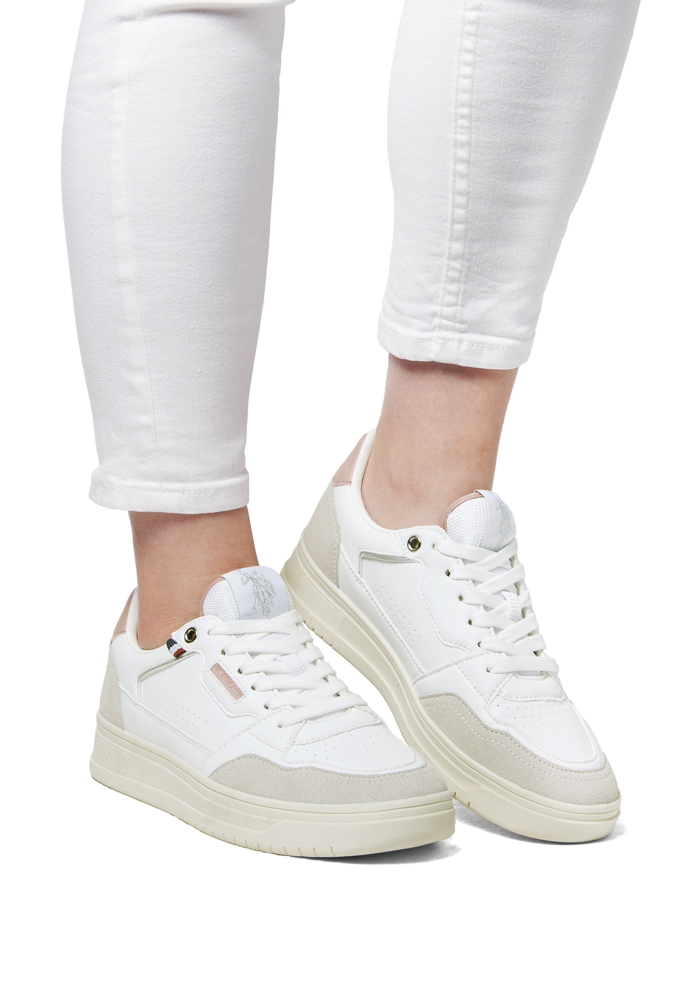 Sneaker bassa di U.S. POLO ASSN. in grigio: frontale