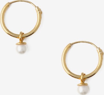 Orelia Ohrringe in Gold: Vorderseite