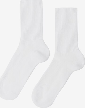 CALZEDONIA Socken in Weiß: predná strana