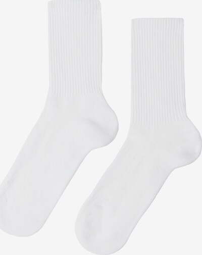 CALZEDONIA Socks in White, Item view