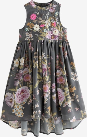 pilka Next Suknelė: priekis