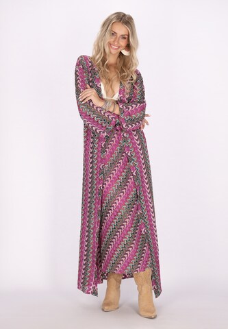 IZIA Dress in Mixed colours: front