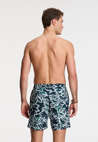 Shiwi - Bermudas 'MIKE' en verde