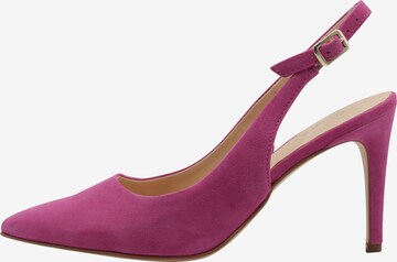 faina Pumps in Roze: voorkant