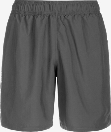 Regular Pantalon de sport UNDER ARMOUR en gris : devant