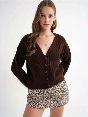 MixRay Gebreid vest in Bruin