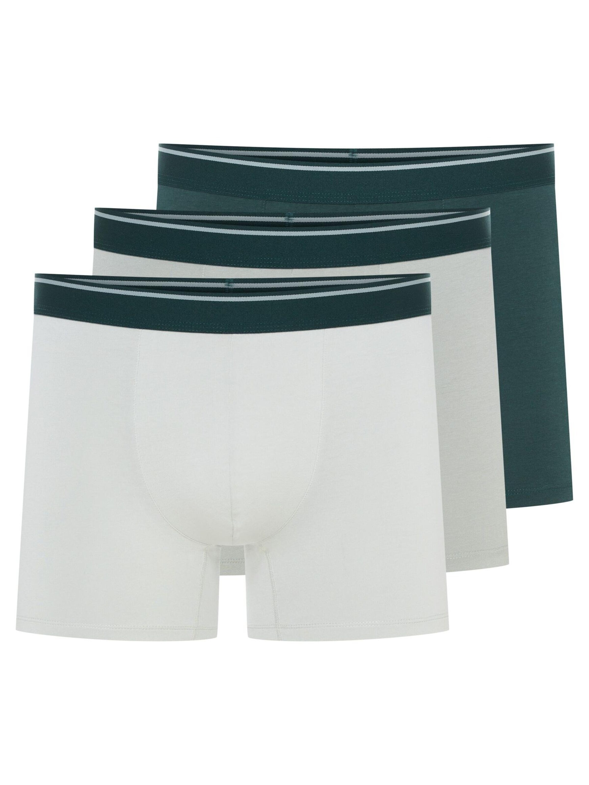 ESOTIQ Boxershorts 'Boxershorts Doppelpack aus Baumwolle Mix Atmungsaktiv bequem Able' in Groen: voorkant