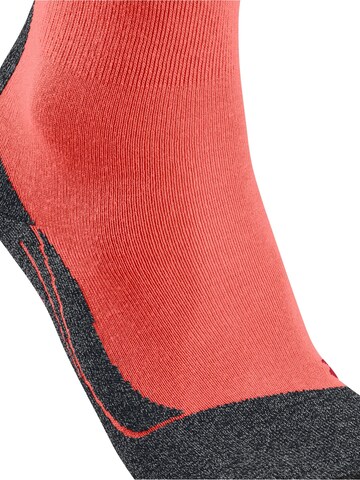 FALKE Sportsocken 'TK2 Explore'‌‌‌‌‌ in Orange