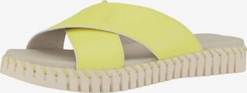 ILSE JACOBSEN Mules 'TULIP1578MN' in Yellow: front