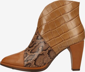 Wonders Ankle Boots in Brown: front