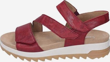 GABOR Sandals in Red: front