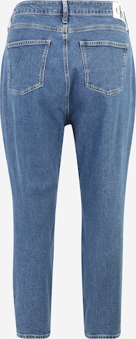 Calvin Klein Jeans Curve Regular Jeans in Blauw