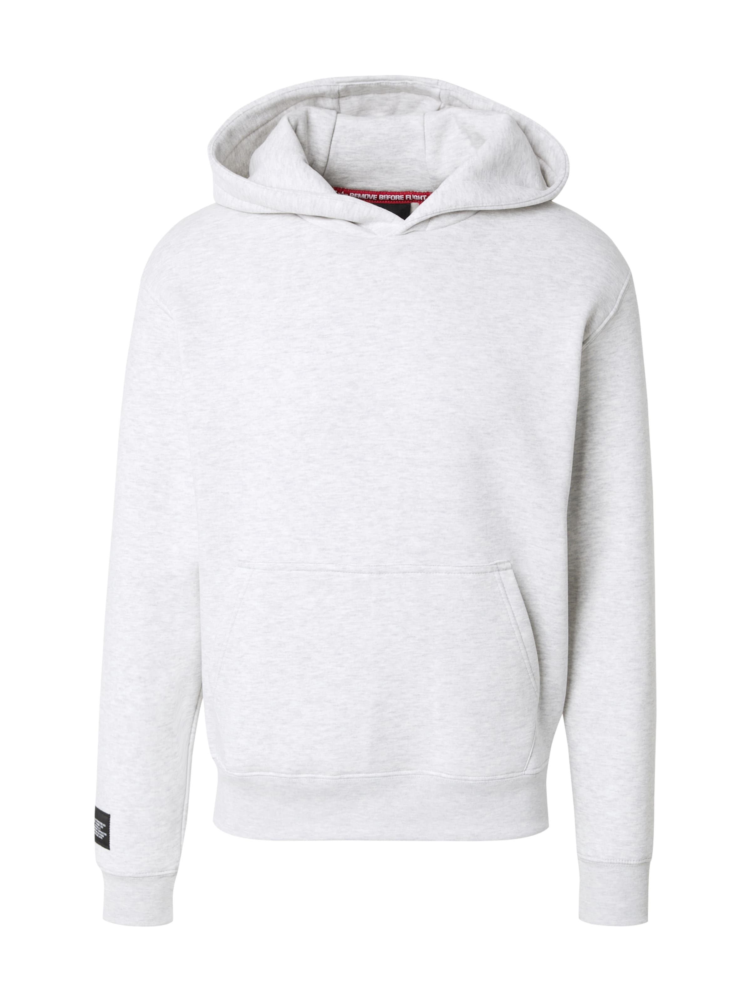 ALPHA INDUSTRIES Sweatshirt i grå: framsida