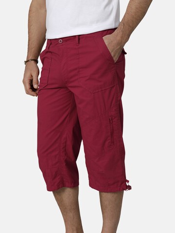 BABISTA Regular Bermuda in Pink