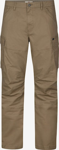 regular Pantaloni cargo di Petrol Industries in marrone: frontale