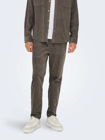 Only & Sons Regular Trousers 'ONSLINUS' in Brown: front
