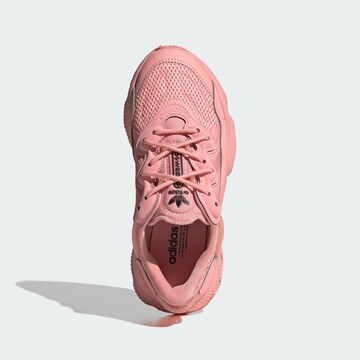 ADIDAS ORIGINALS Sneaker 'Ozweego' in Pink