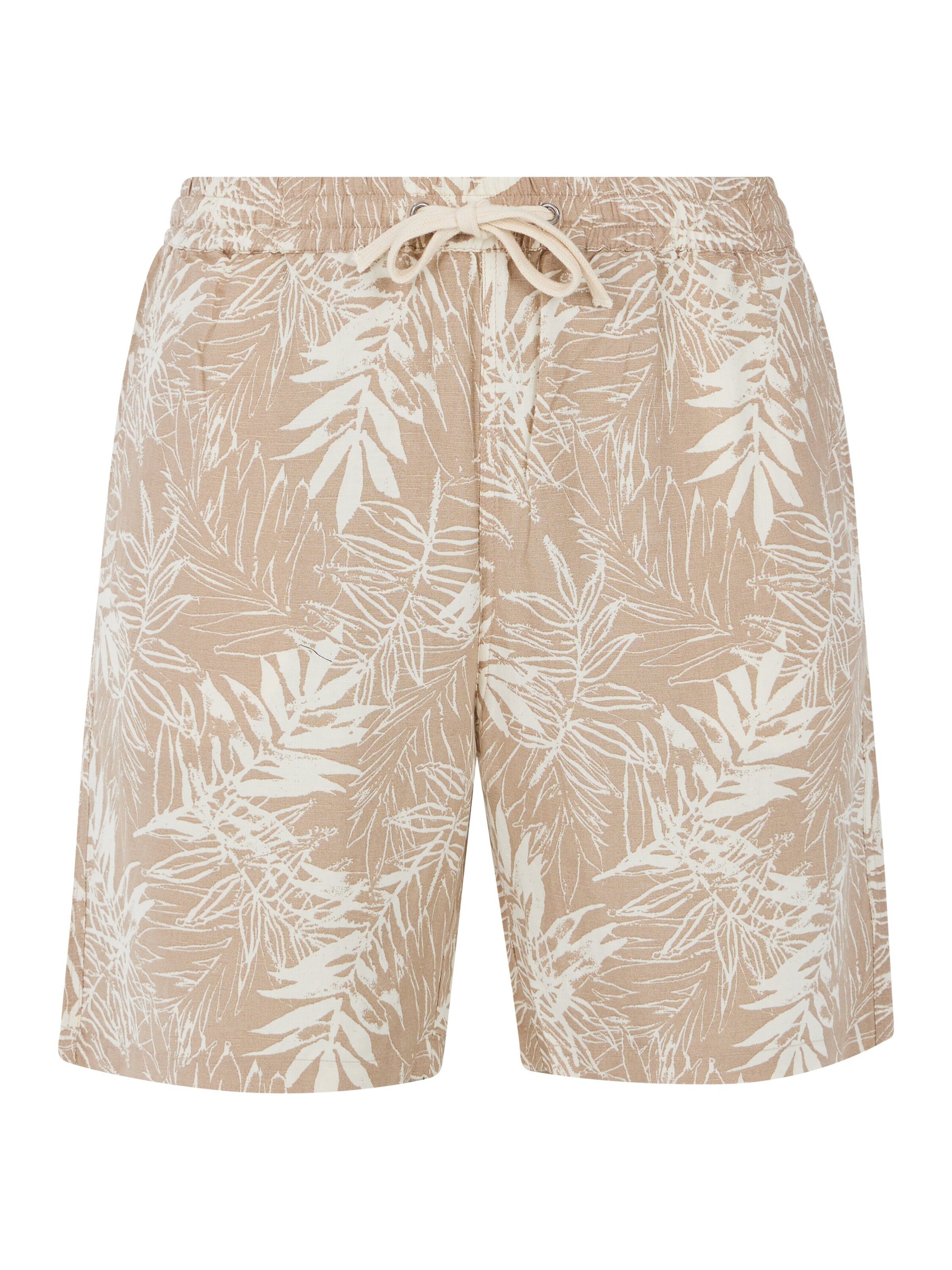 PROTEST Regular Trousers 'PRTSPARK' in Brown: front