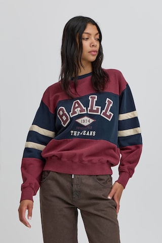 Sweat-shirt 'Tomasso' Ball en marron : devant