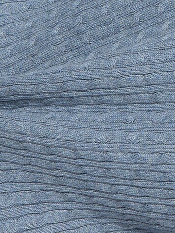 Franco Callegari Trui in Blauw