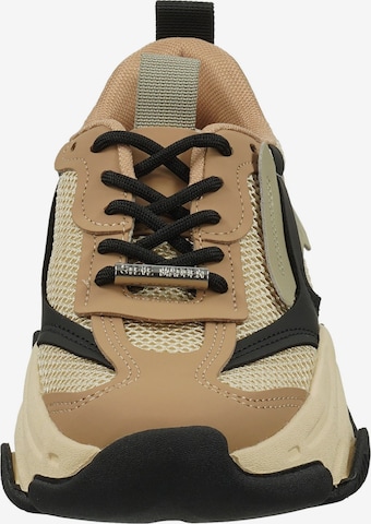 STEVE MADDEN Sneakers in Brown