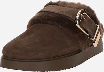 STEVE MADDEN Pistokkaat 'Cozy Up' värissä ruskea: etupuoli