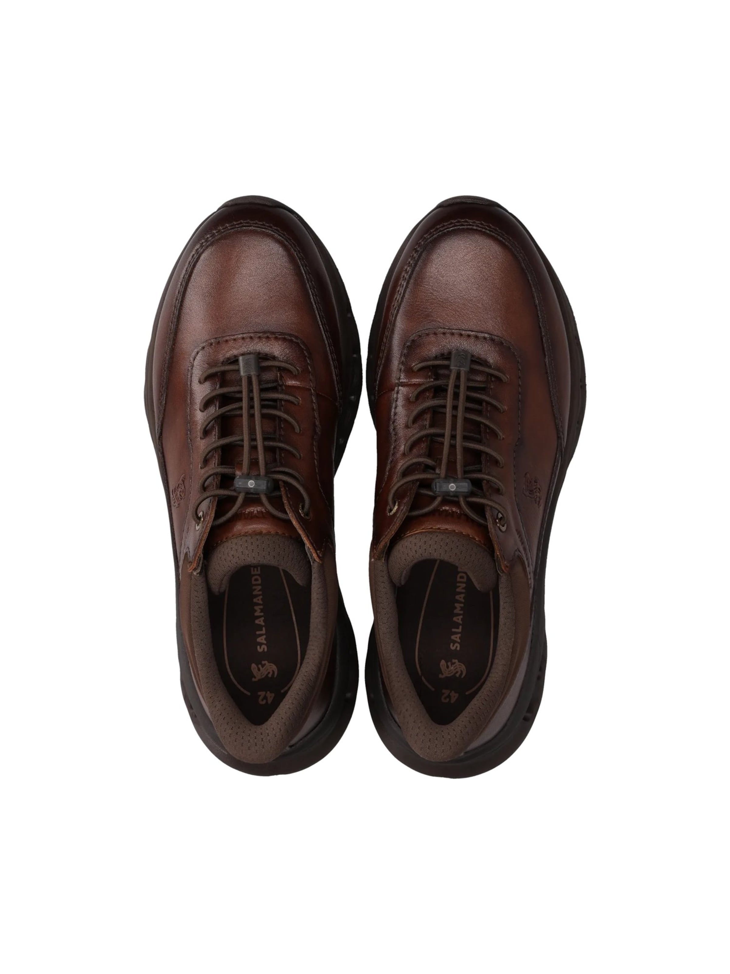Sneaker bassa di SALAMANDER in marrone