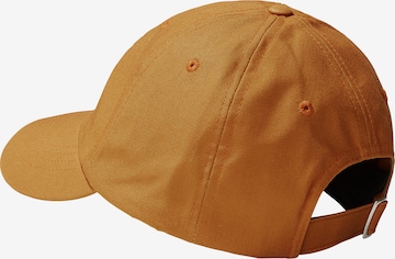 THE NORTH FACE Cap 'NORM' in Brown