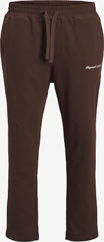 JACK & JONES - Pantalón 'JPSTKane Norrebro' en marrón: frente