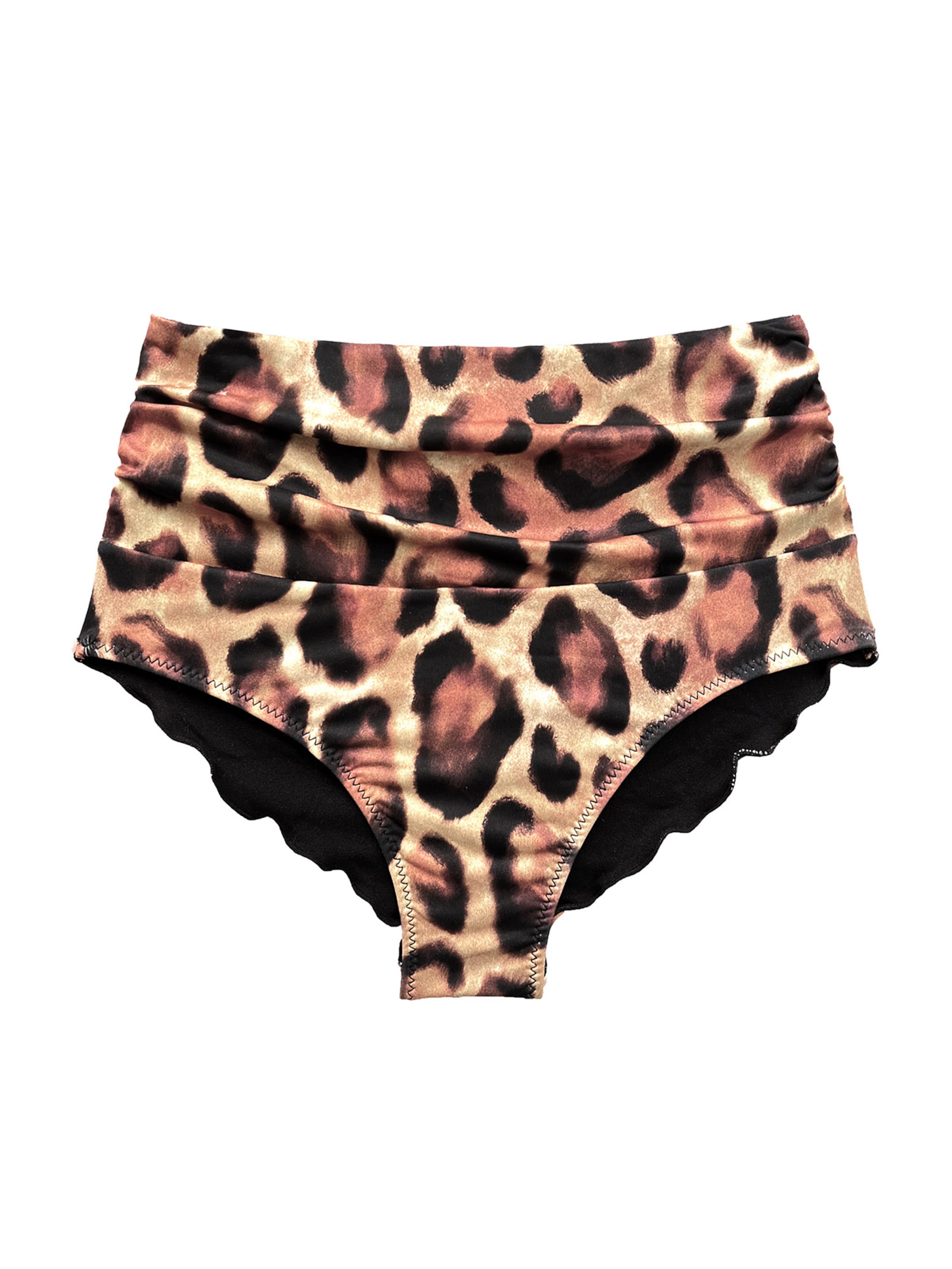 DEESSA Bikinihose 'Shape Wear Vanessa'‌‌‌‌ in Braun: Vorderseite