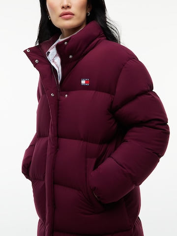 purpurinė Tommy Jeans Žieminis paltas 'Alaska'