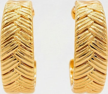 Nemomatheo Earrings 'Pluma Elegance – Federzauber' in Gold: front
