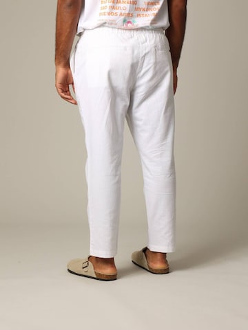 Loosefit Pantalon chino 'GLADES ' Deeluxe en blanc