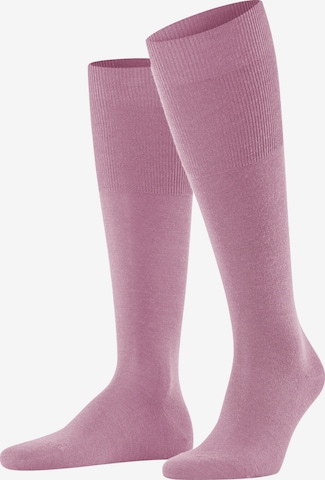 FALKE Knee High Socks 'Airport' in Pink: front