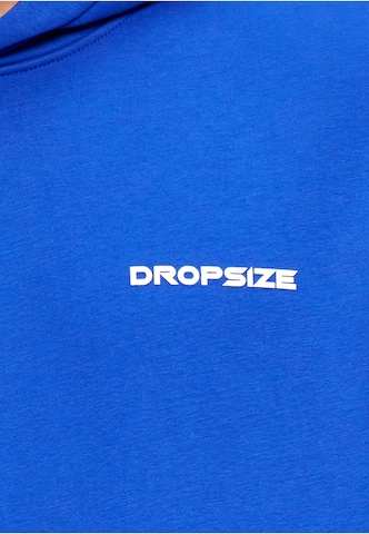 Dropsize Bluzka sportowa w kolorze niebieski