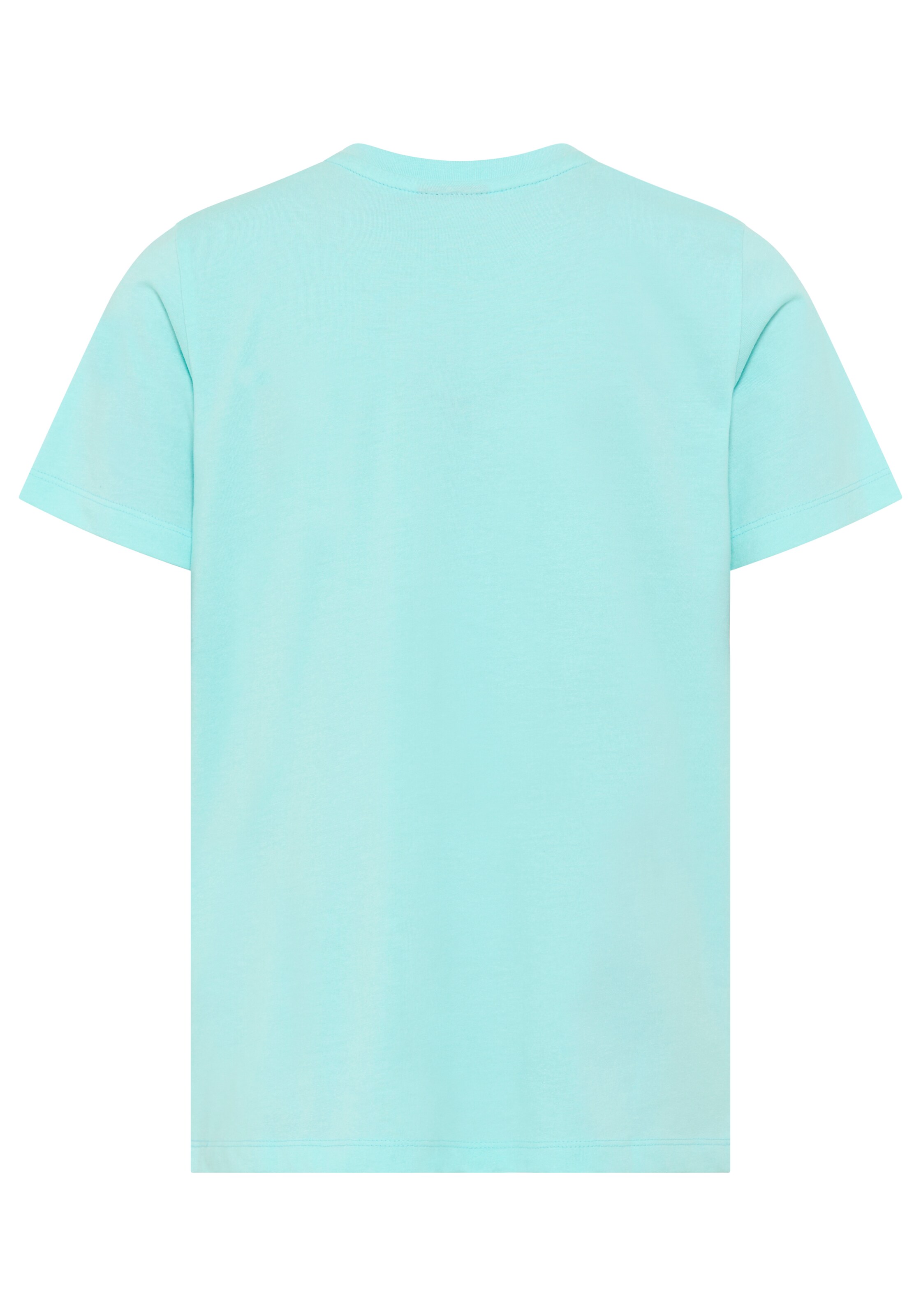 Kidsworld Shirt in Green