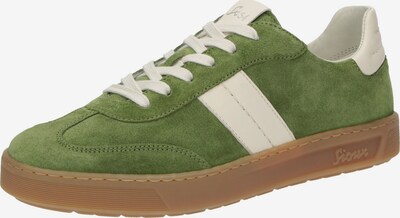 SIOUX Sneaker 'Tedroso-DA-717' in 36 in grün / naturweiß, Produktansicht