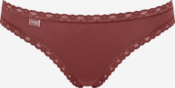 SLOGGI Panty '24/7' in Brown