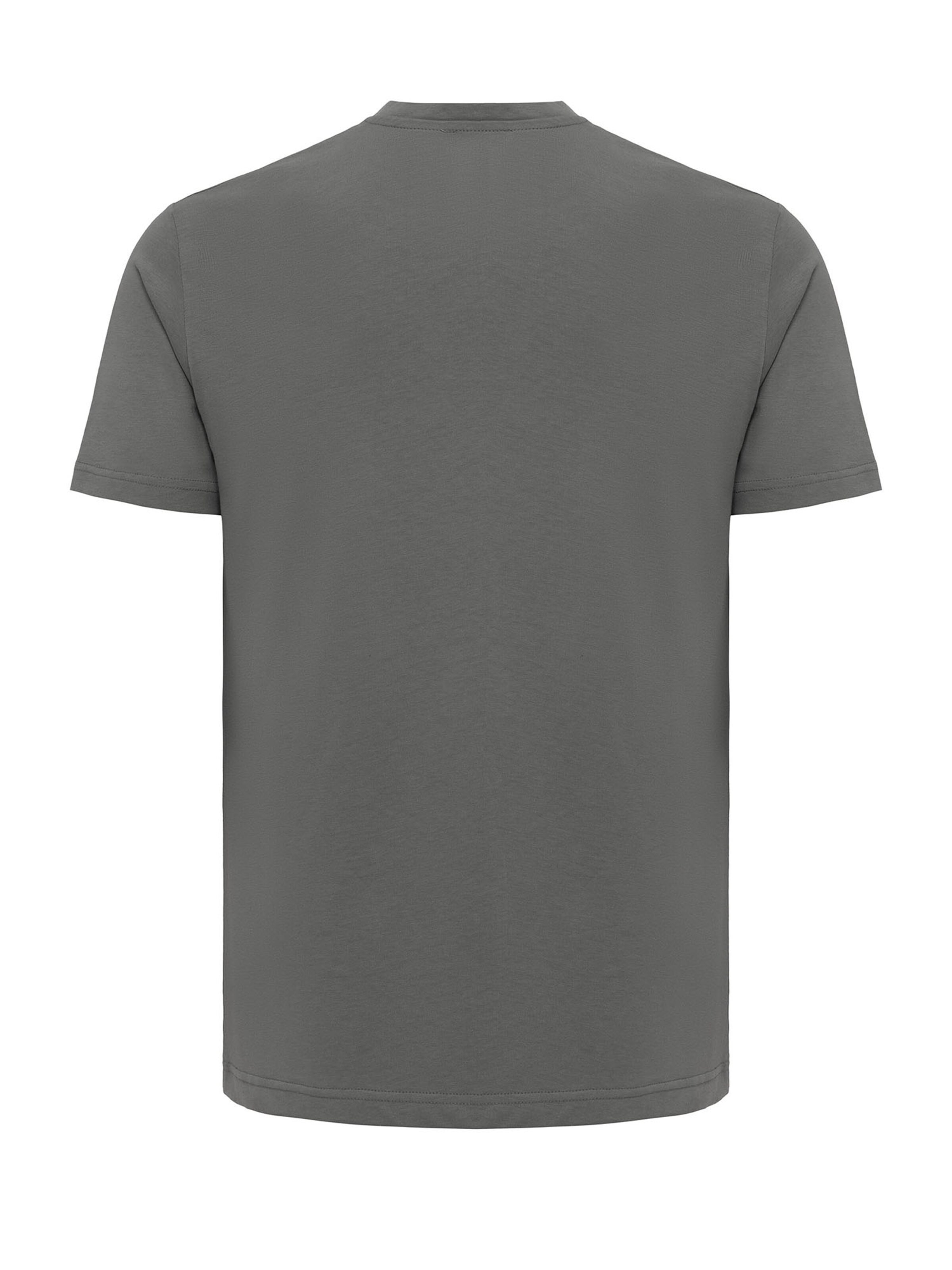 Dandalo Särk, värv hall