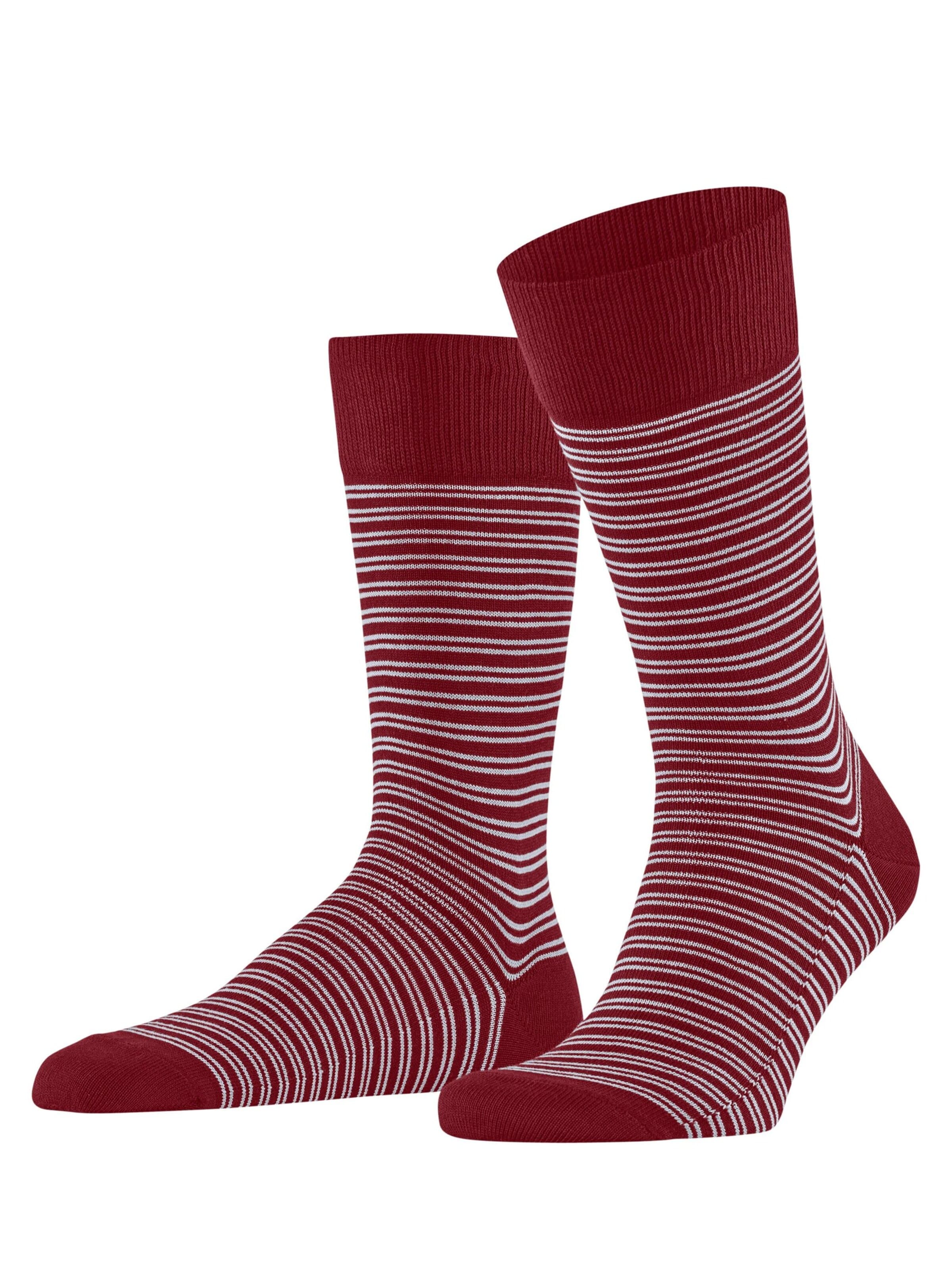 FALKE Socks 'Family Special Edition' in Red: front